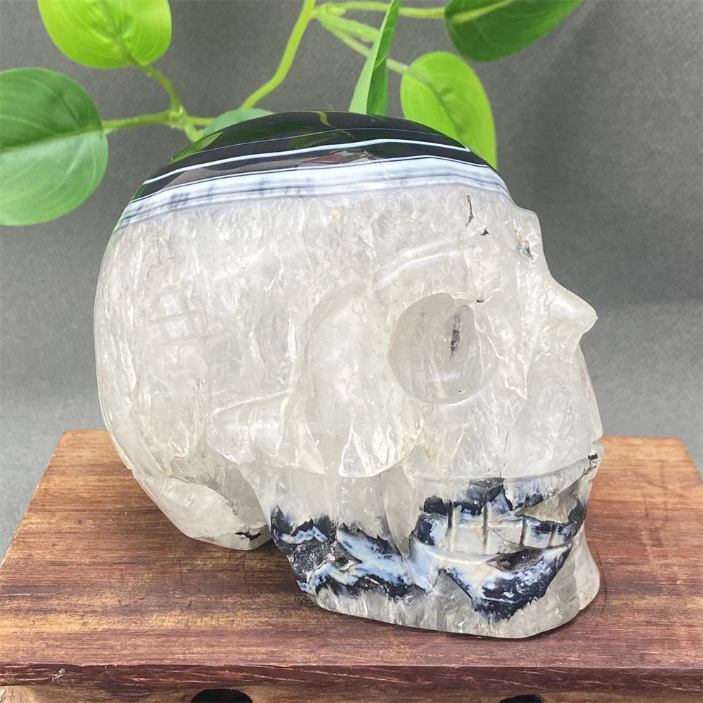 Black Agate Skull-ToShay.org