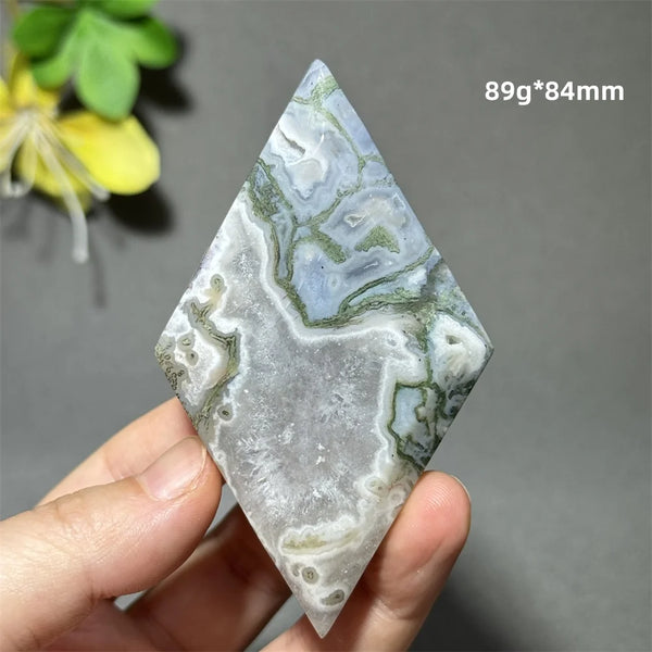 Green Aquatic Plant Agate-ToShay.org
