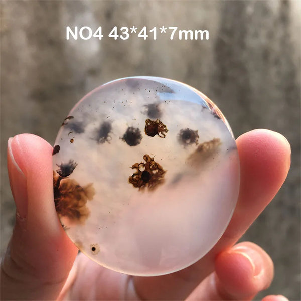 White Chalcedony Grass Agate-ToShay.org
