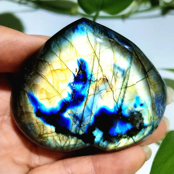 Blue Labrador Heart-ToShay.org