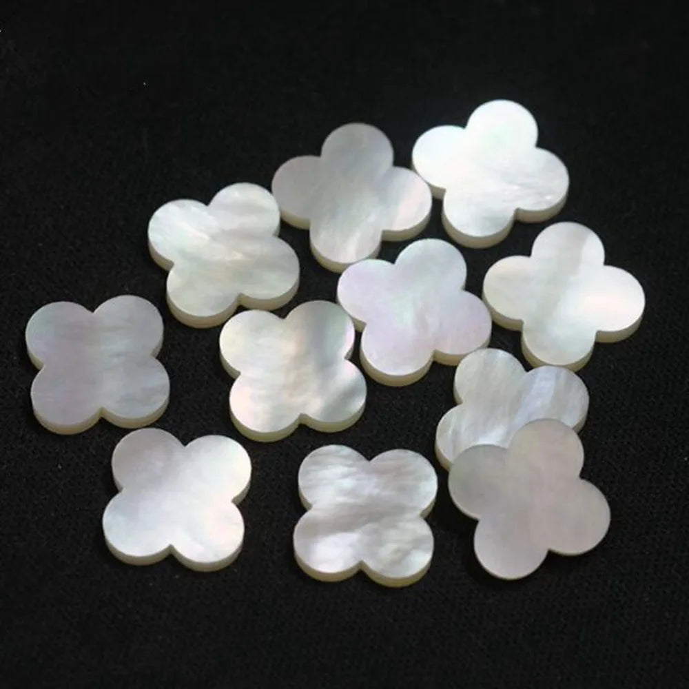White Flower Shell-ToShay.org