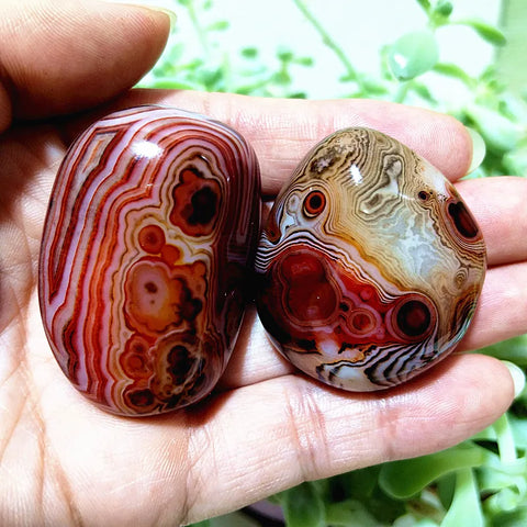 Red Sardonyx Lace Agate-ToShay.org