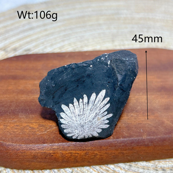 Black Chrysanthemum Raw Stone-ToShay.org