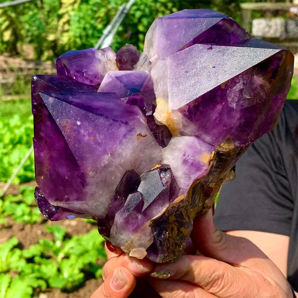 Purple Amethyst Cluster-ToShay.org