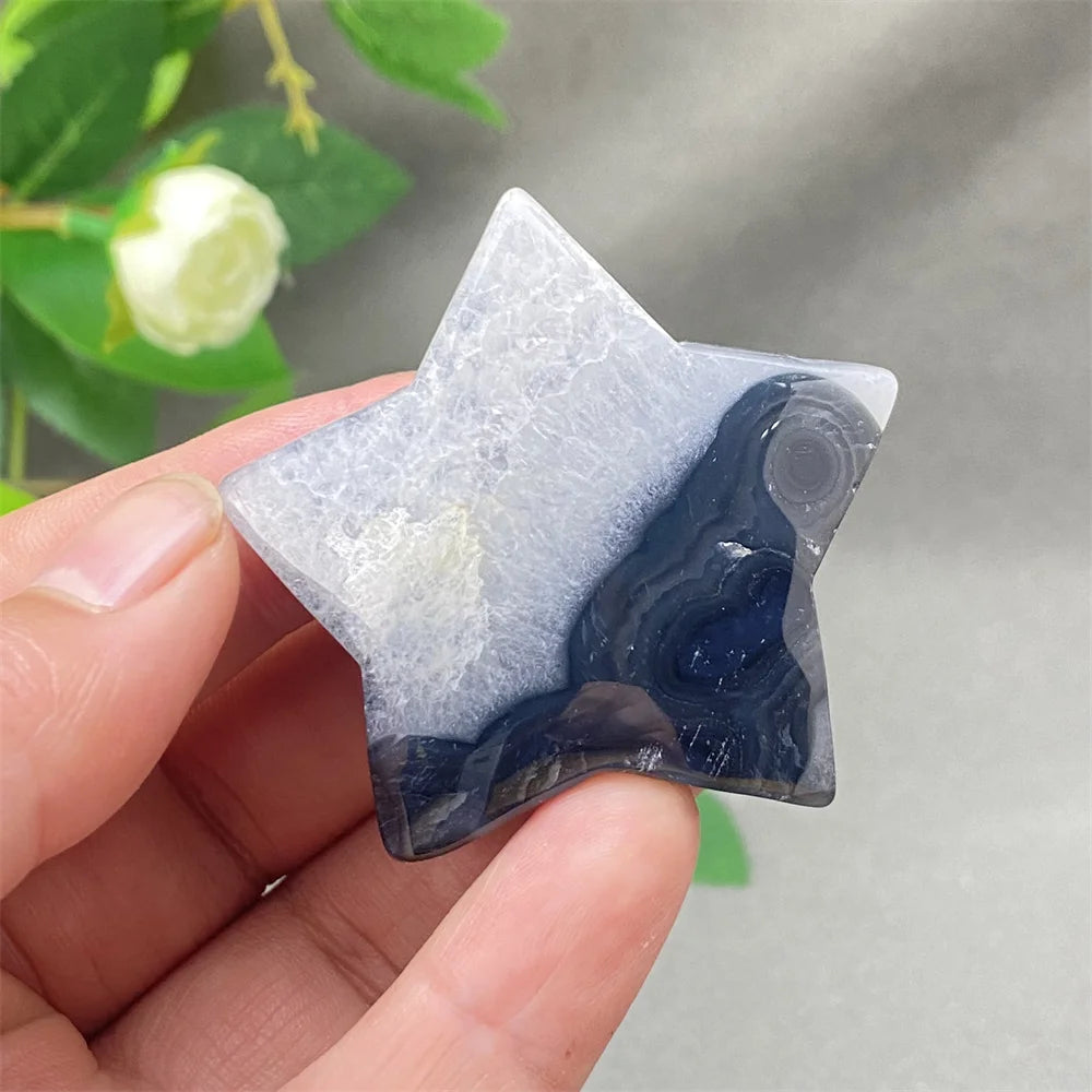 Black Cherry Blossom Agate-ToShay.org