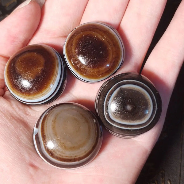 Tibetan Sheep Plate Eye Agate-ToShay.org