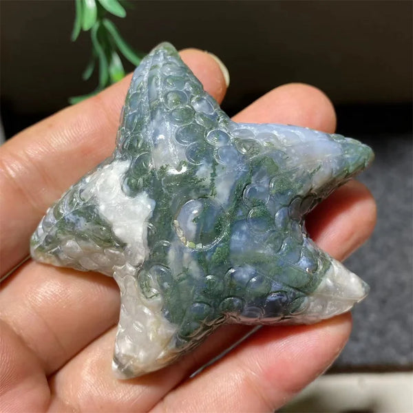 Green Moss Agate Starfish-ToShay.org
