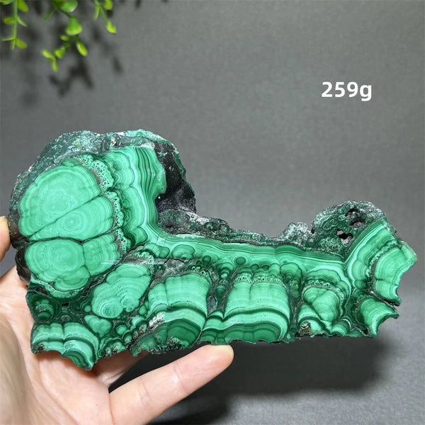 Green Malachite Slice-ToShay.org