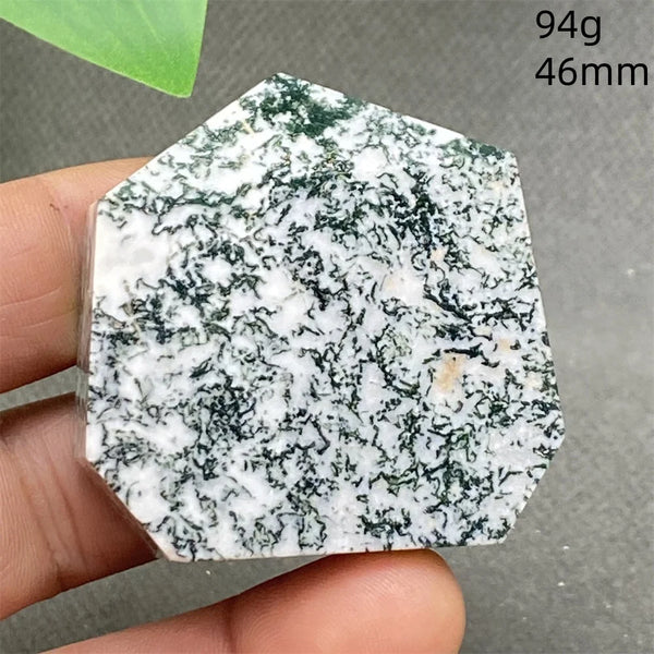 Green Water Plant Agate-ToShay.org