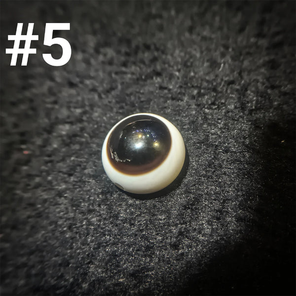 Black White Sheep Eye Agate-ToShay.org