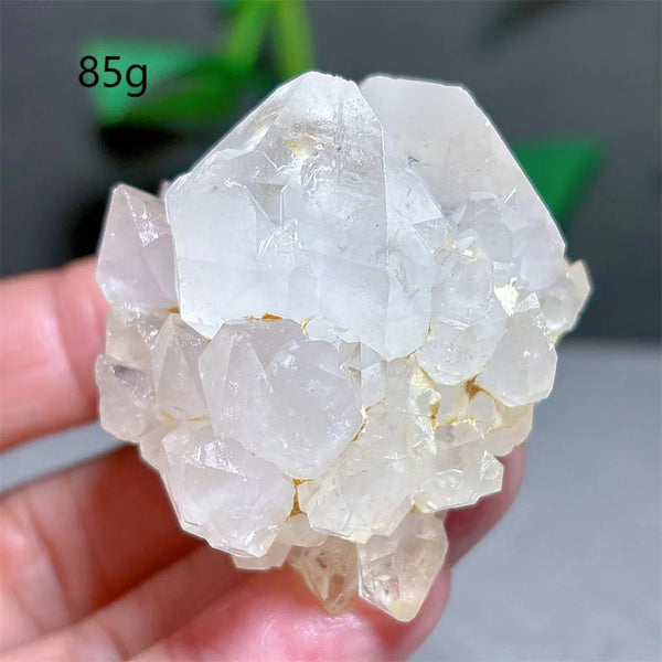 Clear Lotus Backbone Quartz Cluster-ToShay.org
