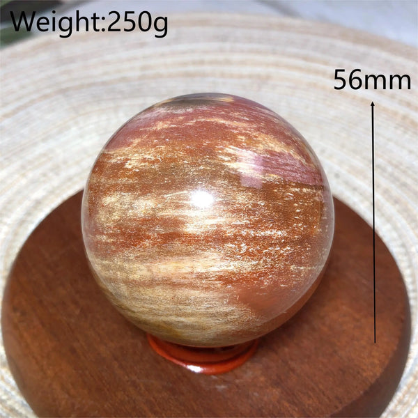Brown Petrified Wood Ball-ToShay.org