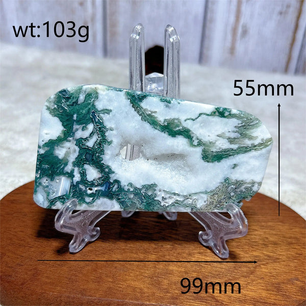 Green Moss Agate Slice-ToShay.org