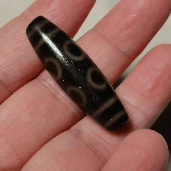 Tibetan Tiger Tooth Dzi Bead-ToShay.org