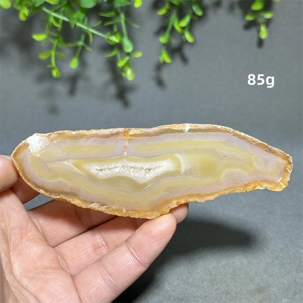 Yellow Agate Slice-ToShay.org