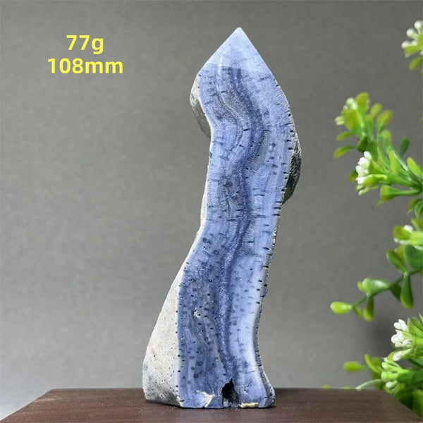 Blue Coral Crystal-ToShay.org