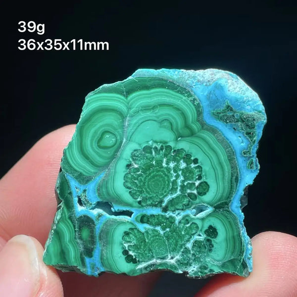 Green Chrysocolla Malachite Slice-ToShay.org