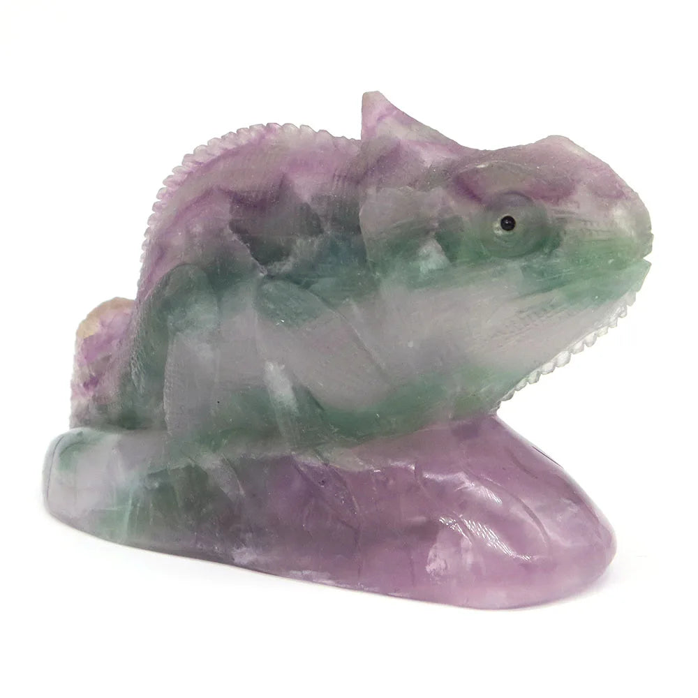Rainbow Fluorite Lizard-ToShay.org