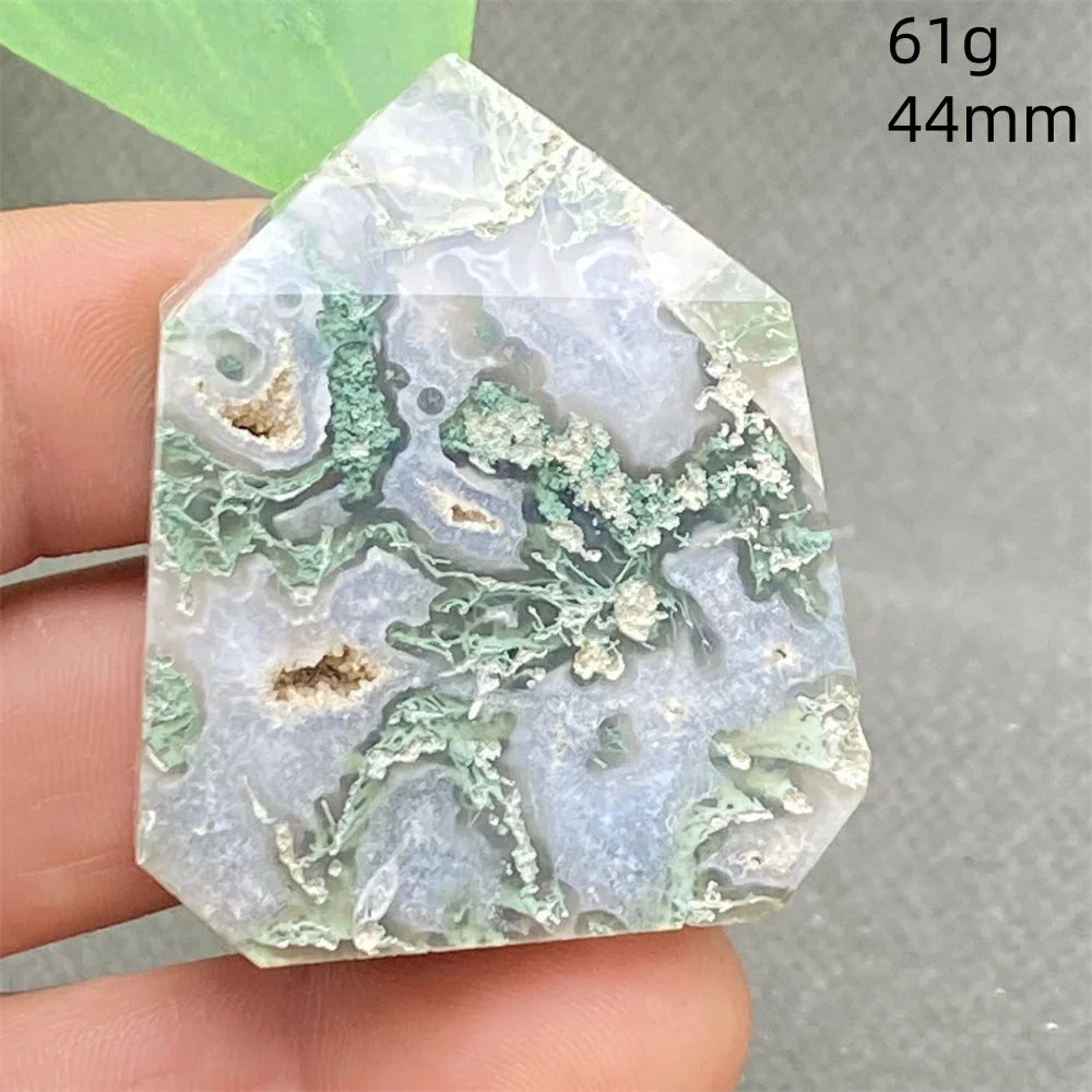 Green Water Plant Agate-ToShay.org
