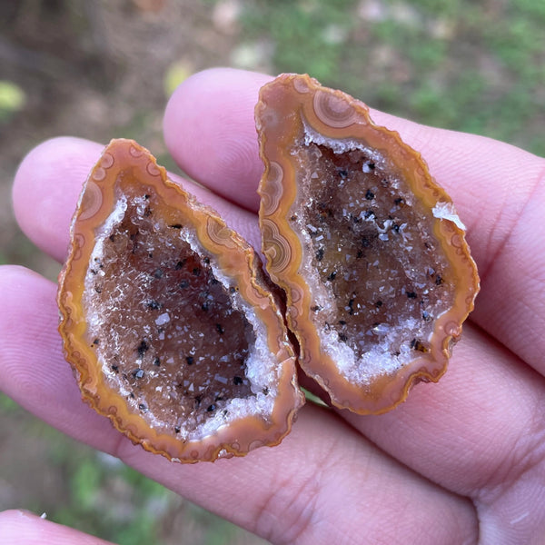 Mixed Agate Geode Egg-ToShay.org