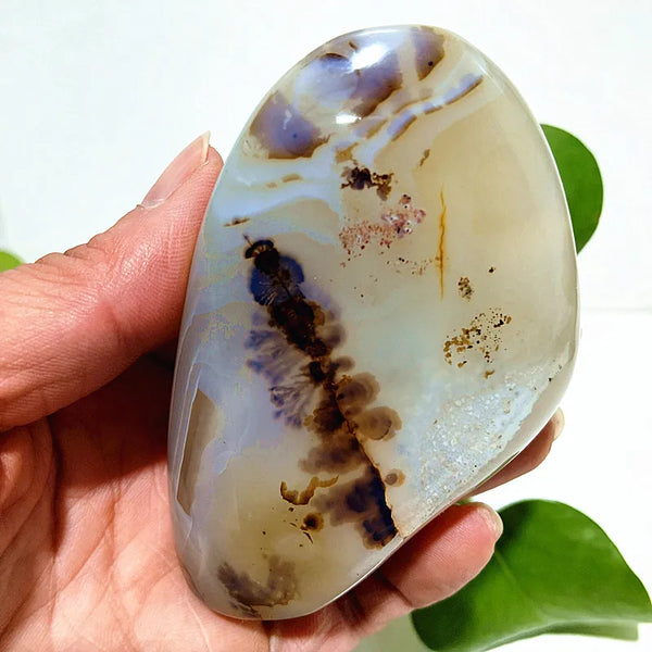 Yellow Blue Water Plant Agate-ToShay.org