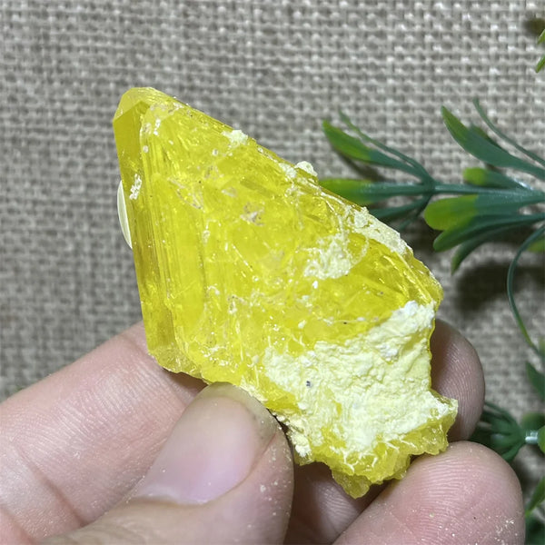 Yellow Sulphur Quartz-ToShay.org