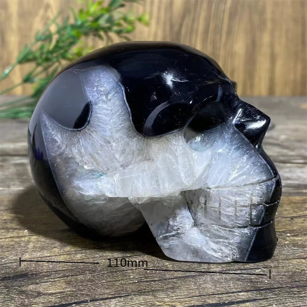 Black Agate Skull-ToShay.org