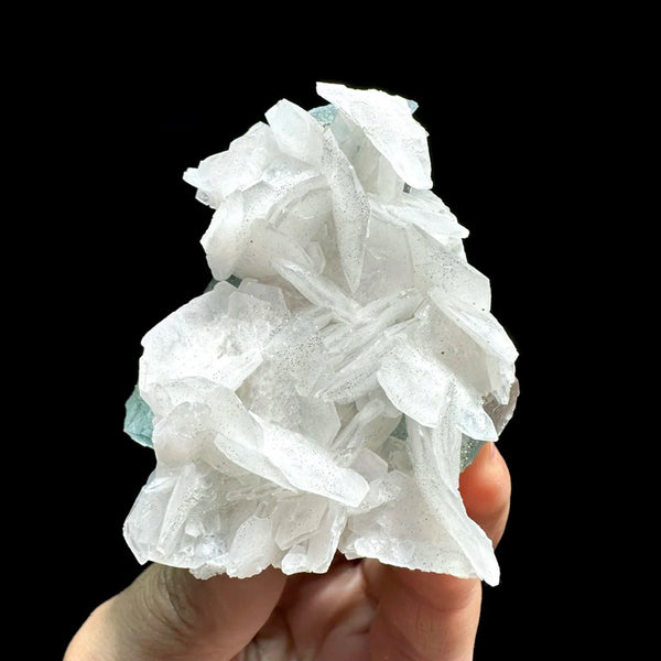 White Calcite Rose-ToShay.org