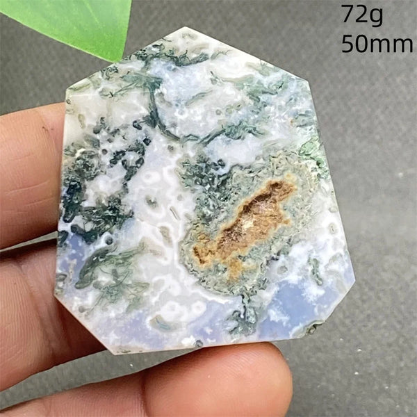 Green Water Plant Agate-ToShay.org