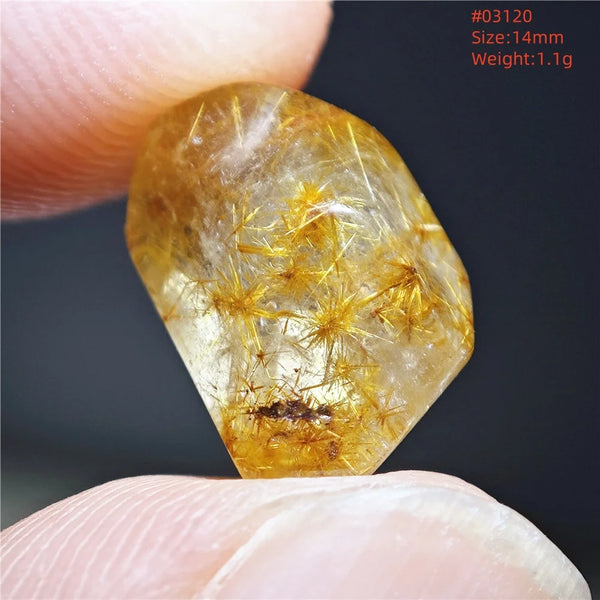 Gold Rutilated Quartz-ToShay.org