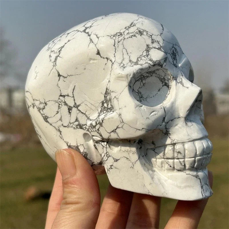 White Howlite Skull-ToShay.org