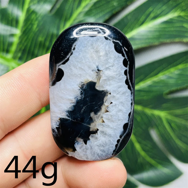 Black White Agate Palm Stone-ToShay.org