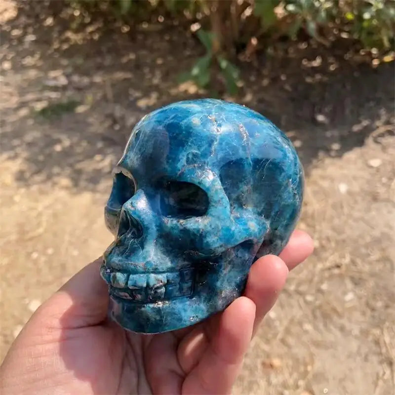 Blue Apatite Skull-ToShay.org