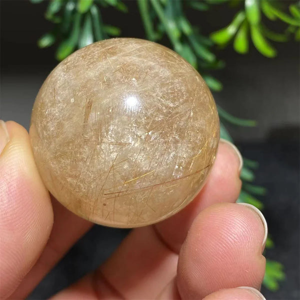 Gold Rutilated Quartz Ball-ToShay.org