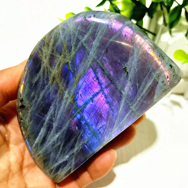 Violet Labradorite Crystal-ToShay.org