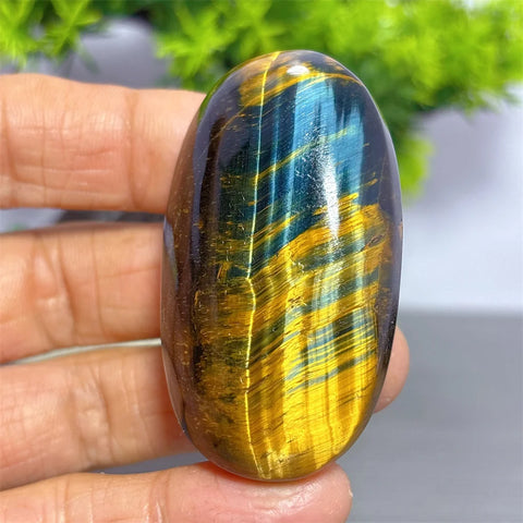 Blue Yellow Tiger Eye Stone-ToShay.org