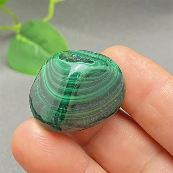Green Malachite Tumbled Stone-ToShay.org