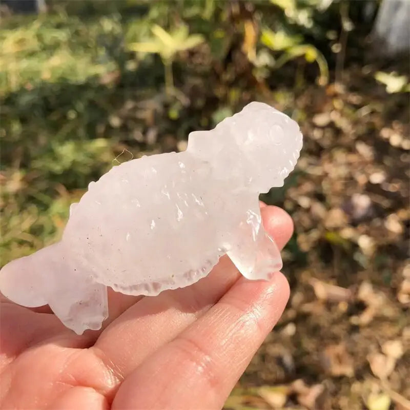 Mixed Crystal Lizards-ToShay.org