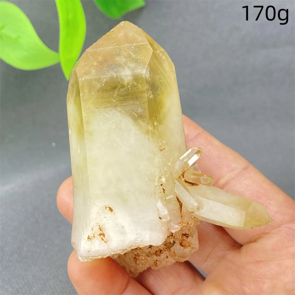 Yellow Black Smoky Quartz-ToShay.org