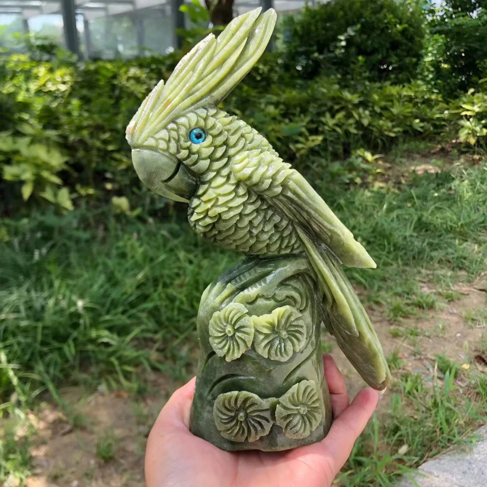 Green Jade Cockatiel Parrot-ToShay.org