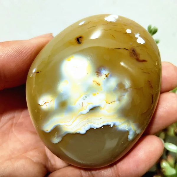 Mixed Lace Sardonyx Agate-ToShay.org