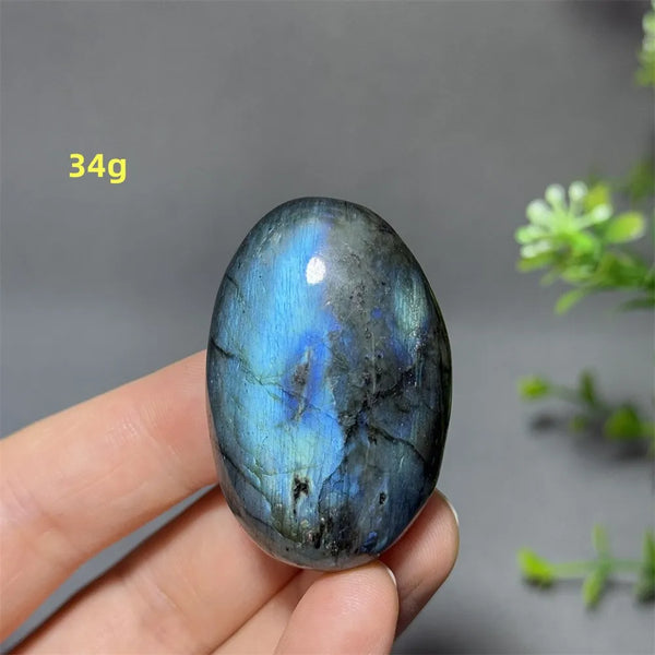 Blue Labrador Palm Stone-ToShay.org