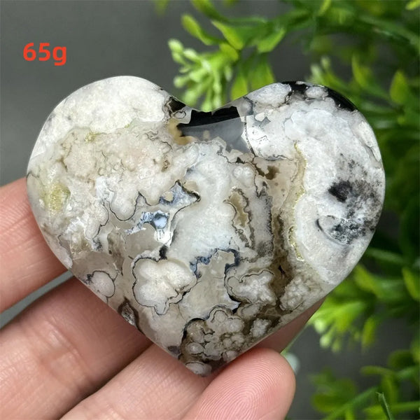 Black Cherry Blossom Agate-ToShay.org