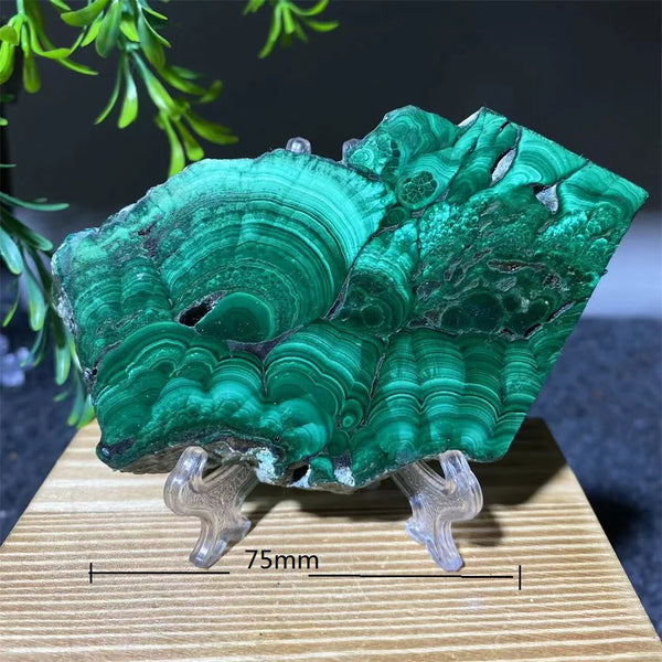 Green Malachite Slice-ToShay.org
