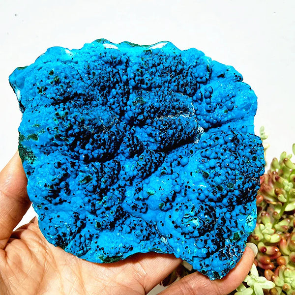 Blue Chrysocolla Crystal-ToShay.org