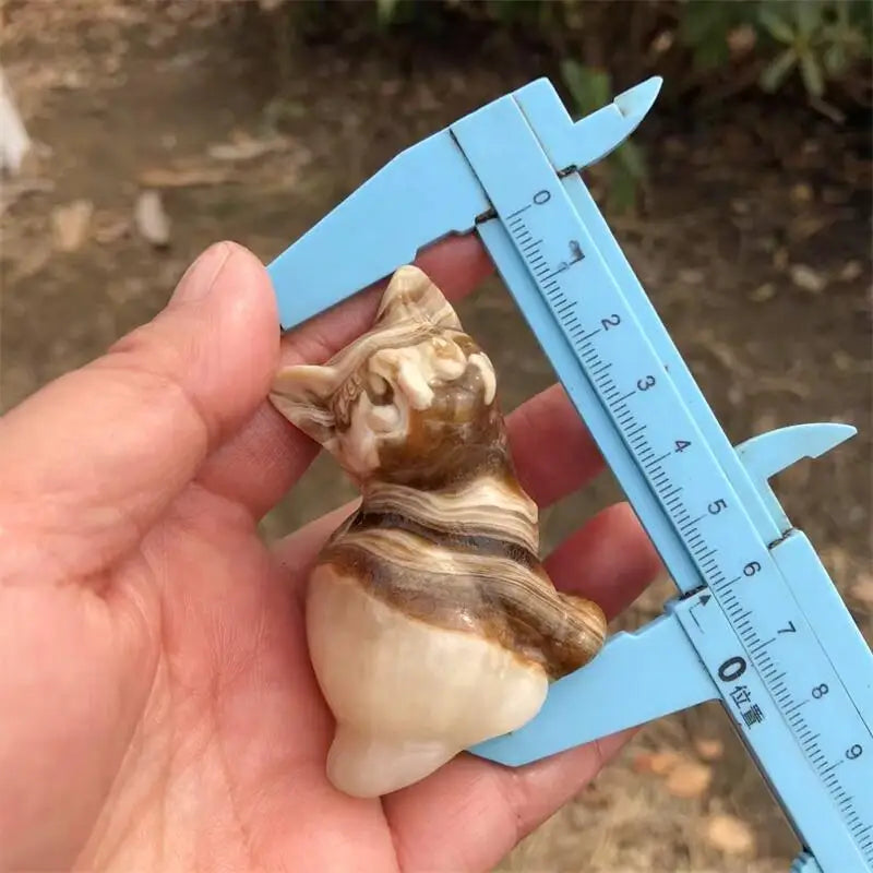 Brown Calcite Agate Cat-ToShay.org