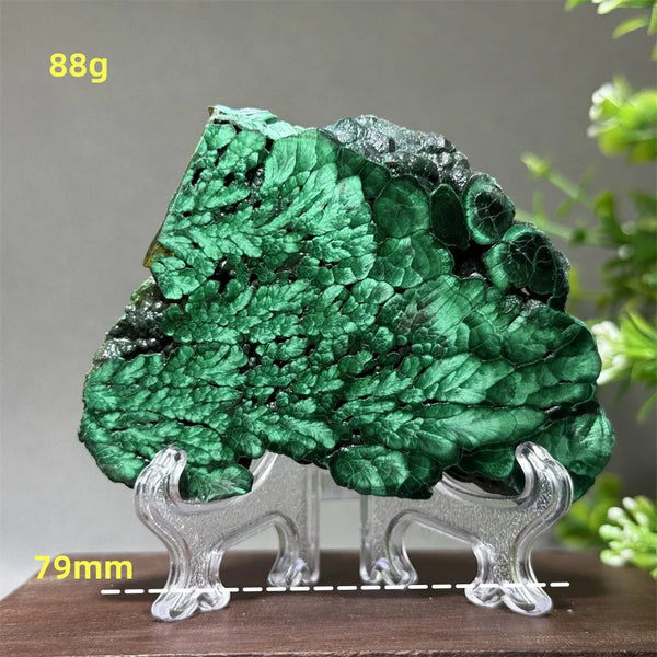 Green Malachite Slice-ToShay.org