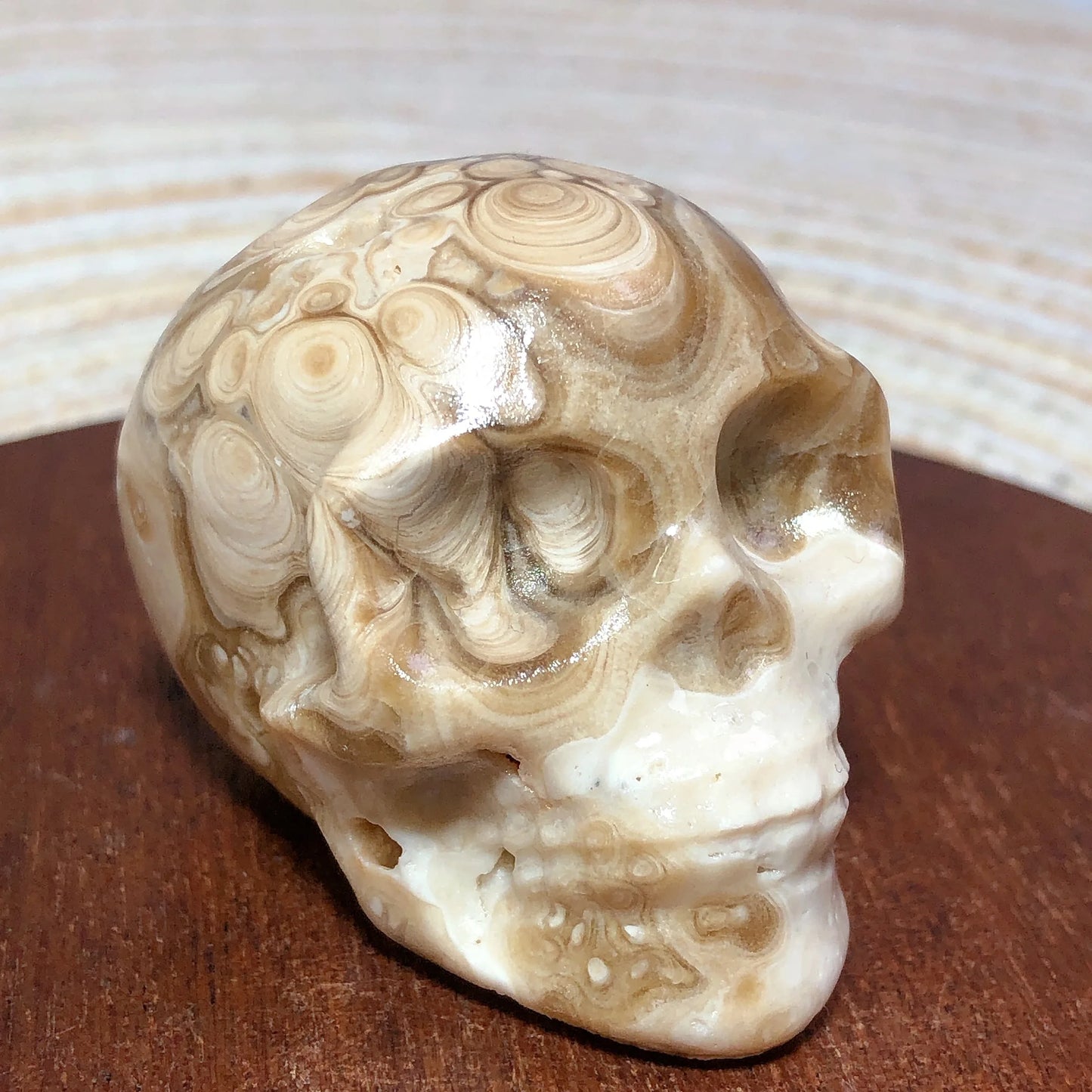 White Chocolate Calcite Skull-ToShay.org