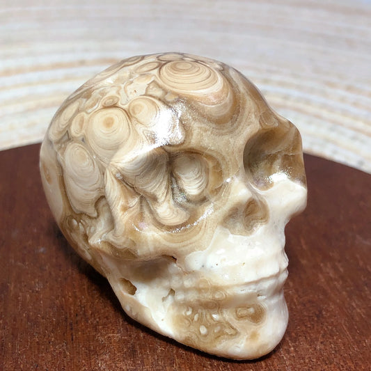 White Chocolate Calcite Skull-ToShay.org