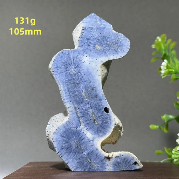 Blue Coral Crystal-ToShay.org